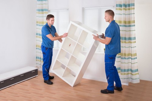 Professional mover assisting with boxes in Norwood