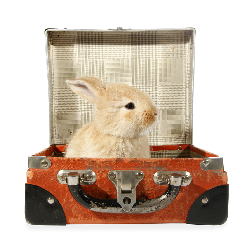 Packing Wisely: Keys to a Hassle-Free House Move